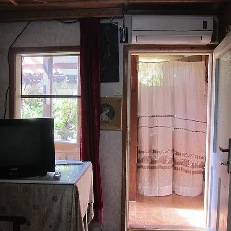 Diana Veliko Tarnovo